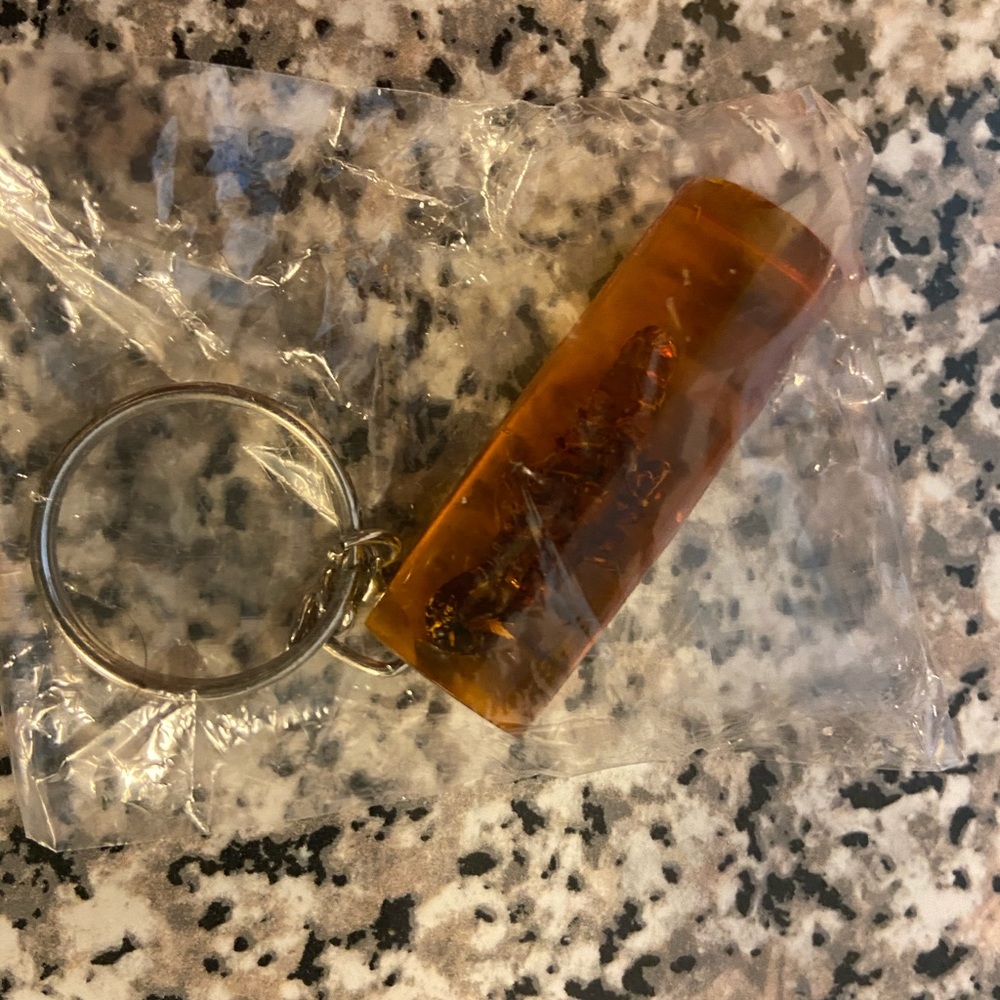 Scorpion Keychain Collectible